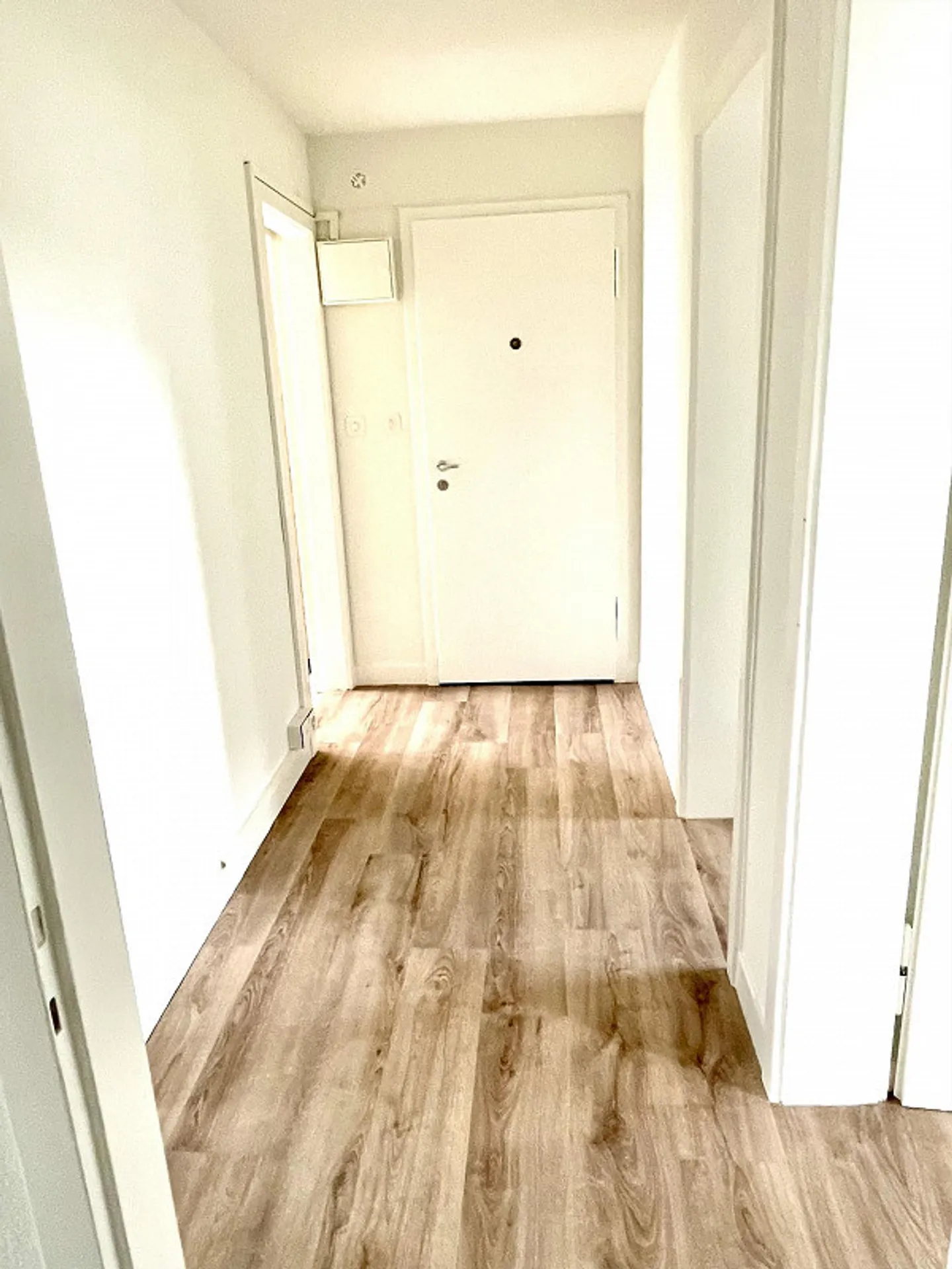 Appartamento 3,5 stanze appena ristrutturato in una posizione tranquilla a Riehen - Foto 5 di 10