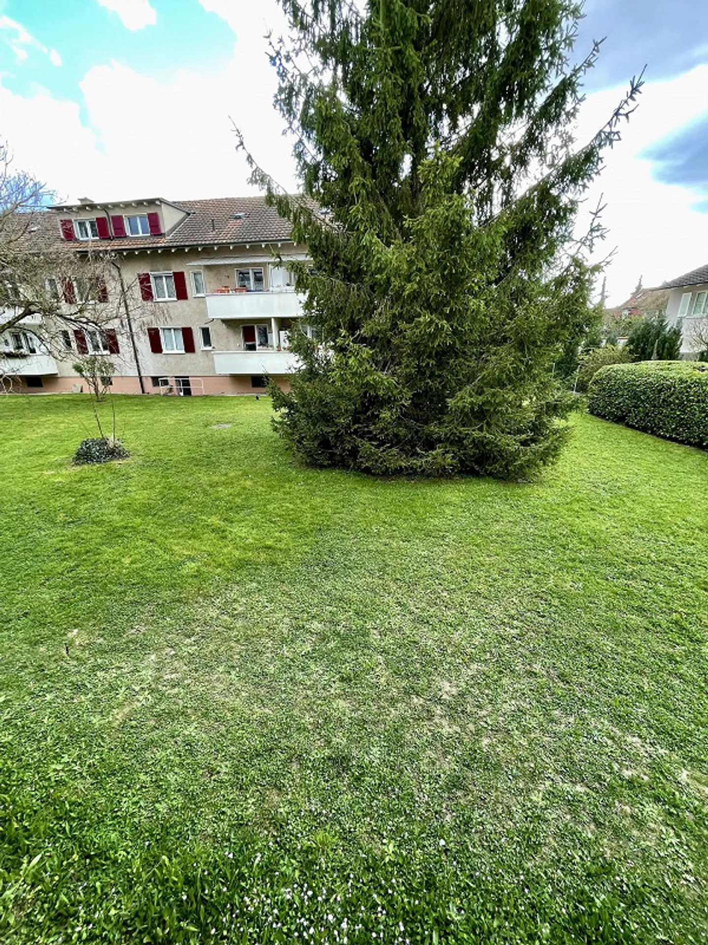 Appartamento 3,5 stanze appena ristrutturato in una posizione tranquilla a Riehen - Foto 2 di 10