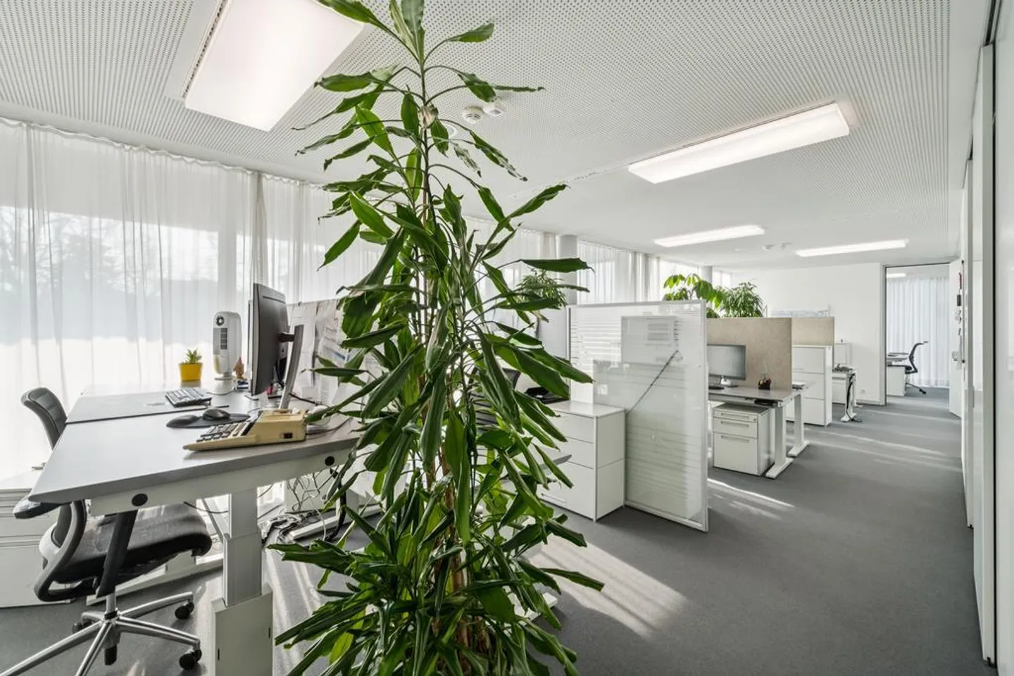 Uffici altamente sviluppati in posizione centrale - Foto 5 di 11