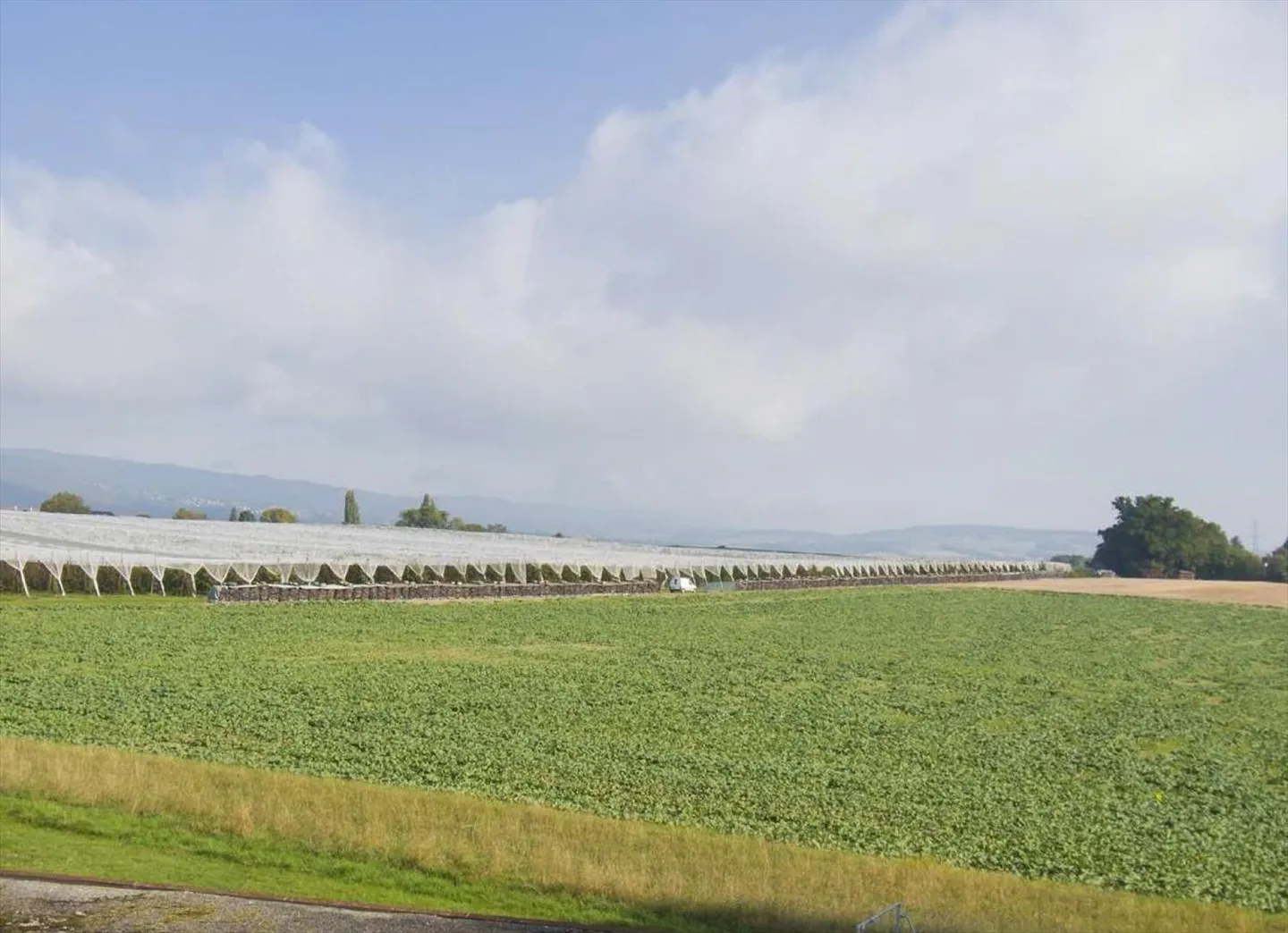 Luminoso studio a Borex - Foto 6 di 7