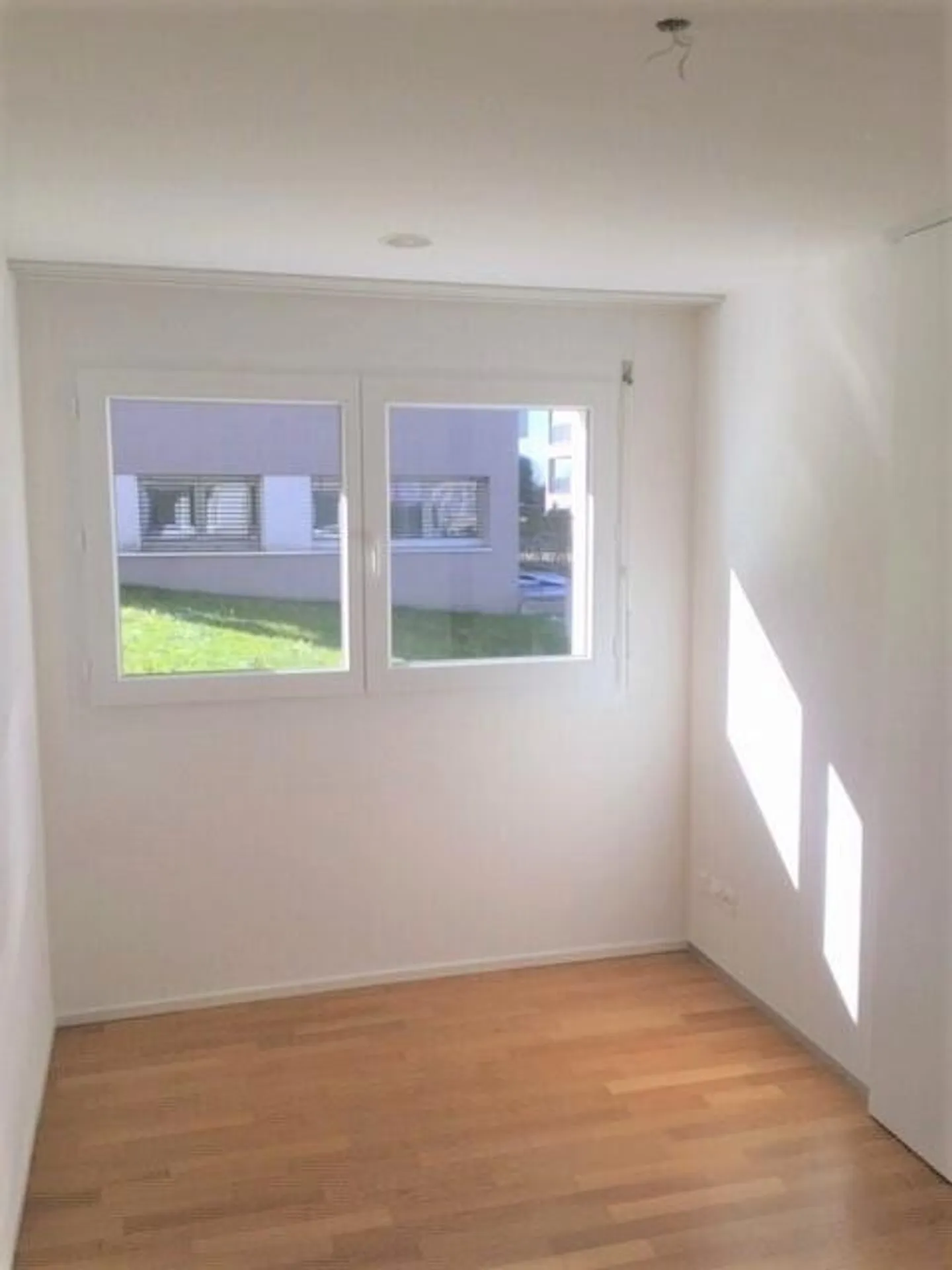 Viewing: Thursday, February 19, 2026 from 4:00 PM - 4:30 PM - Photo 6 of 8