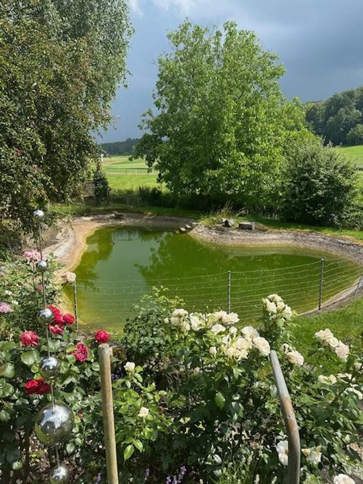 Ampia casa bifamiliare con laghetto e giardino - Foto 2 di 11