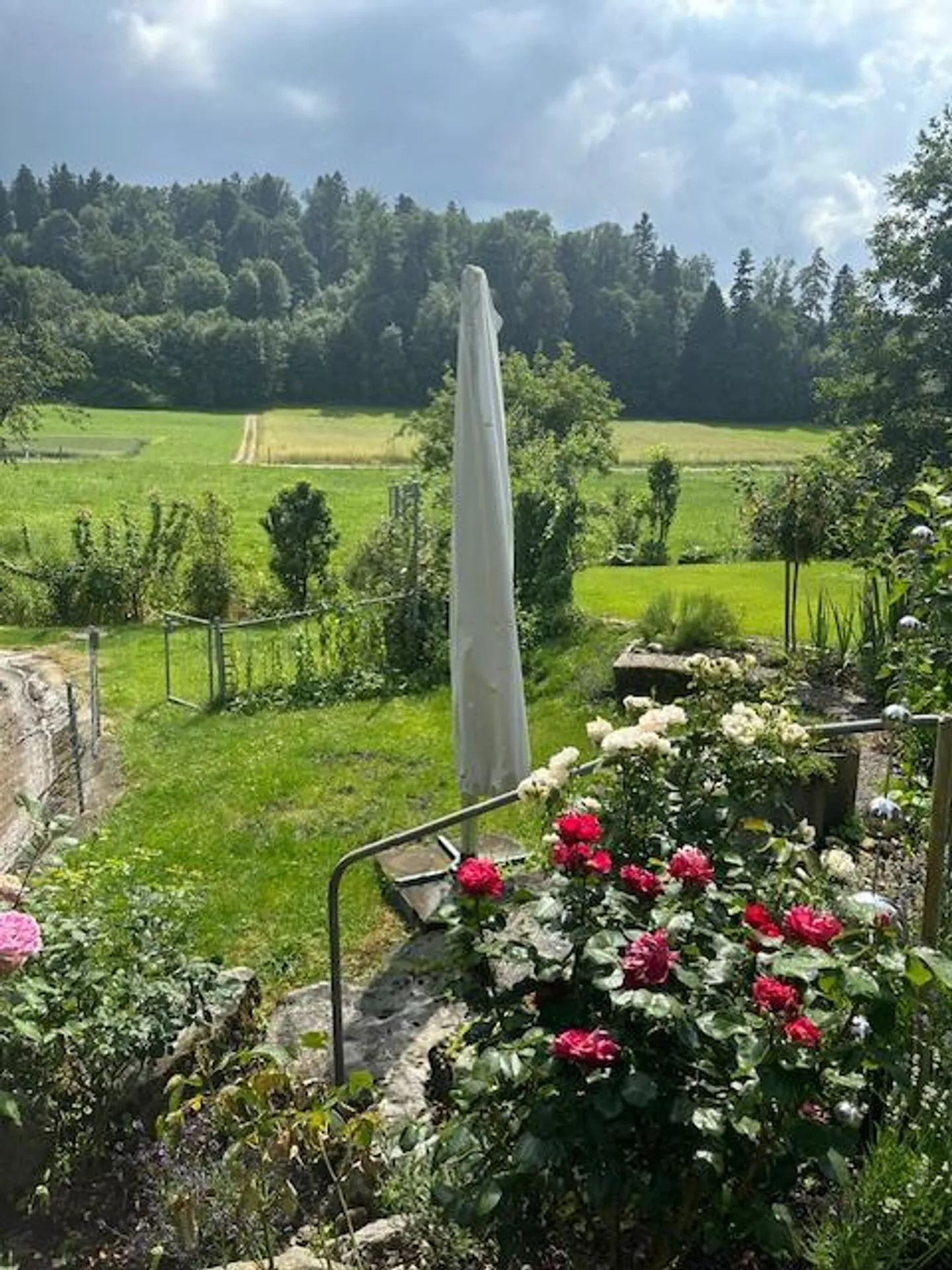 Ampia casa bifamiliare con laghetto e giardino - Foto 3 di 11