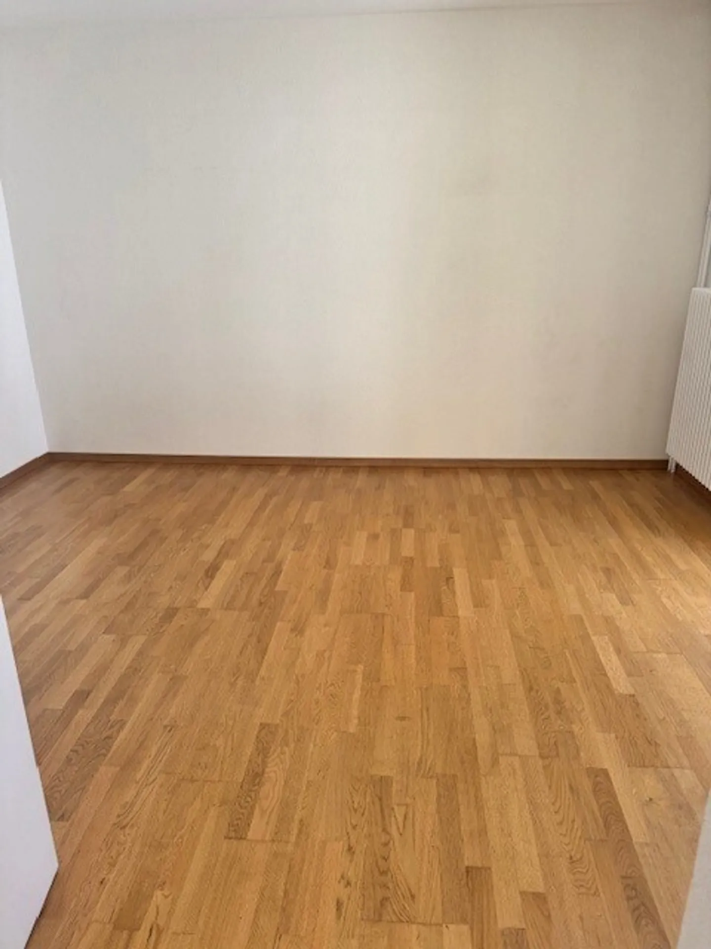 Appartamento 3.5 stanze - Foto 3 di 8