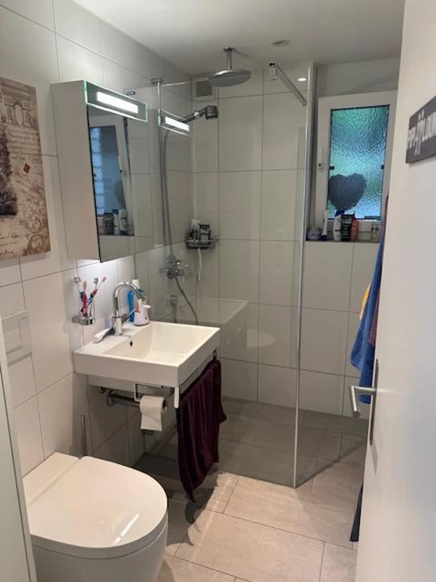 Ampia casa bifamiliare con laghetto e giardino - Foto 4 di 11