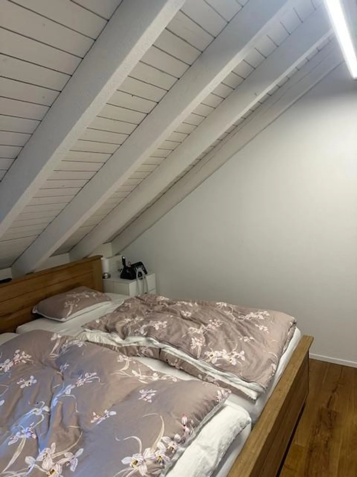 Ampia casa bifamiliare con laghetto e giardino - Foto 6 di 11