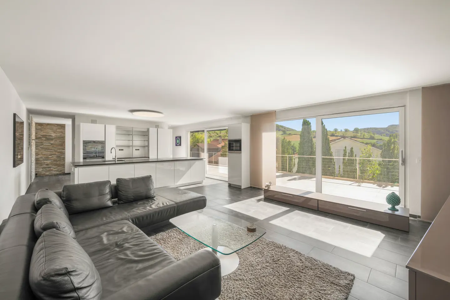 Maison individuelle moderne avec vue dégagée et espace généreux - Photo 3 sur 13