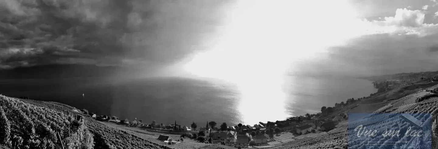 Unique Plot with Building Permit: 1 or 2 Parcels, Panoramic View! - Photo 5 of 11