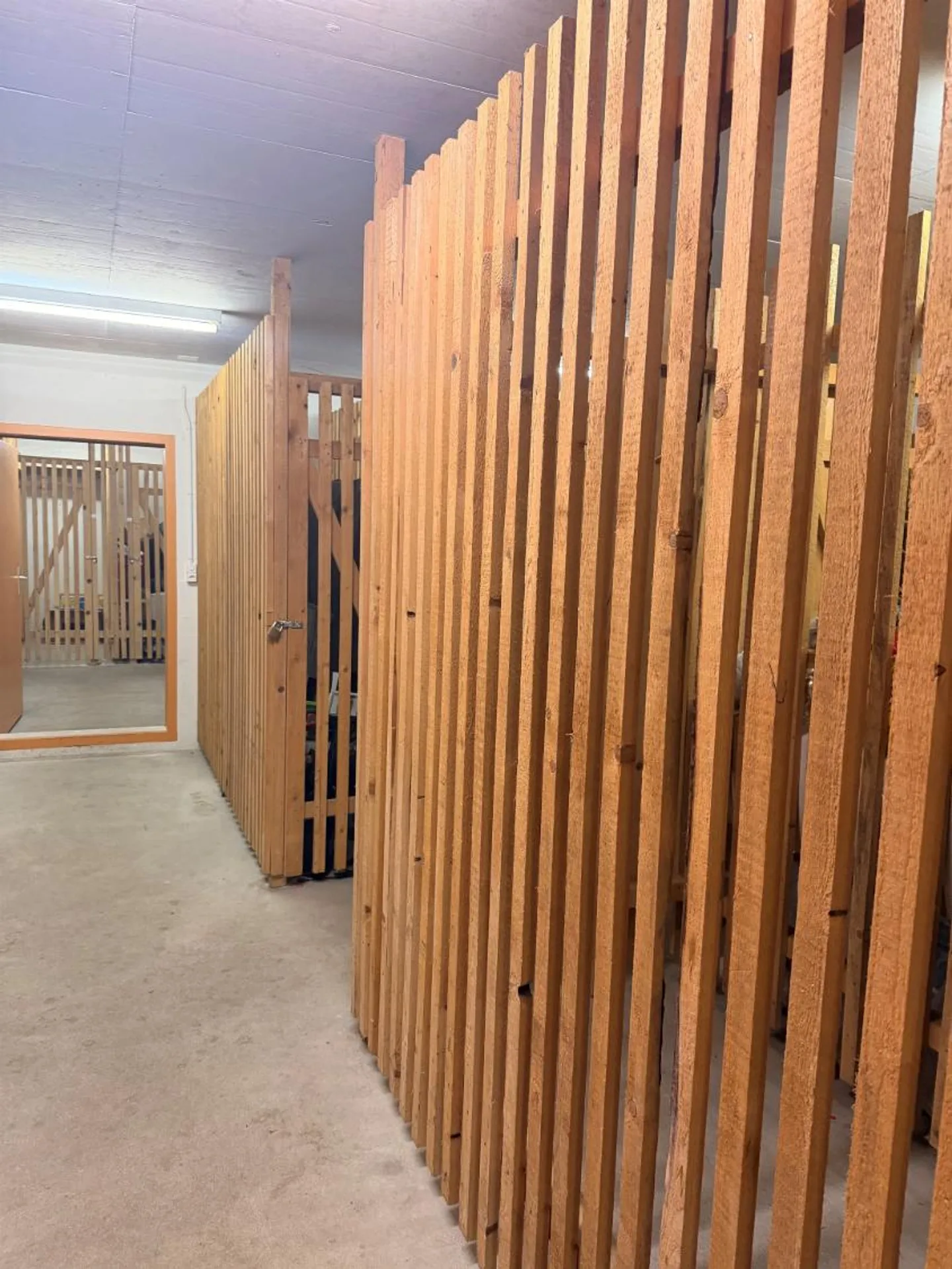 Cellars as storage spaces for rent - Photo 1 of 2