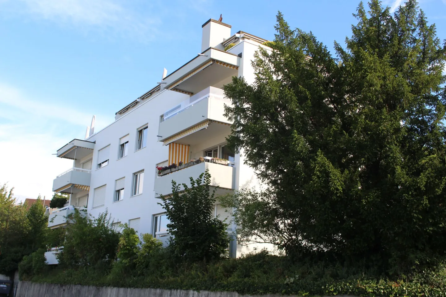 Appartement confortable de 2,5 pièces dans le quartier prisé 7 - Photo 8 sur 9