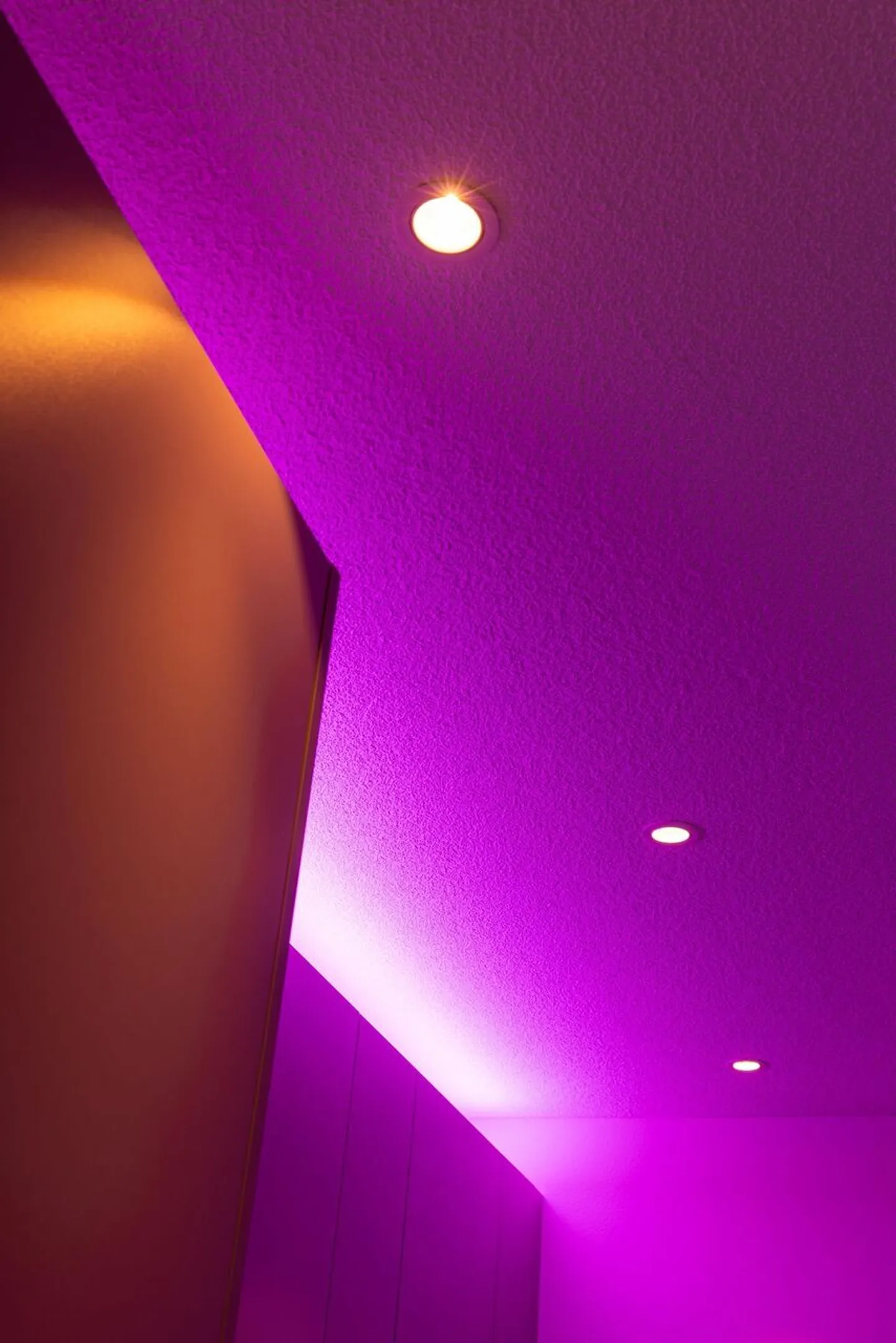 Appartement terrasse de 1,5 pièce, lumineux, moderne et de haute qualité, situé au calme au dernier étage, avec un jardin d'hiver de 9 m² offrant une vue dégagée à l'ouest (soleil du soir), 1 place de parking incluse et jardin commun avec protection visuelle complète - Photo 64 sur 98