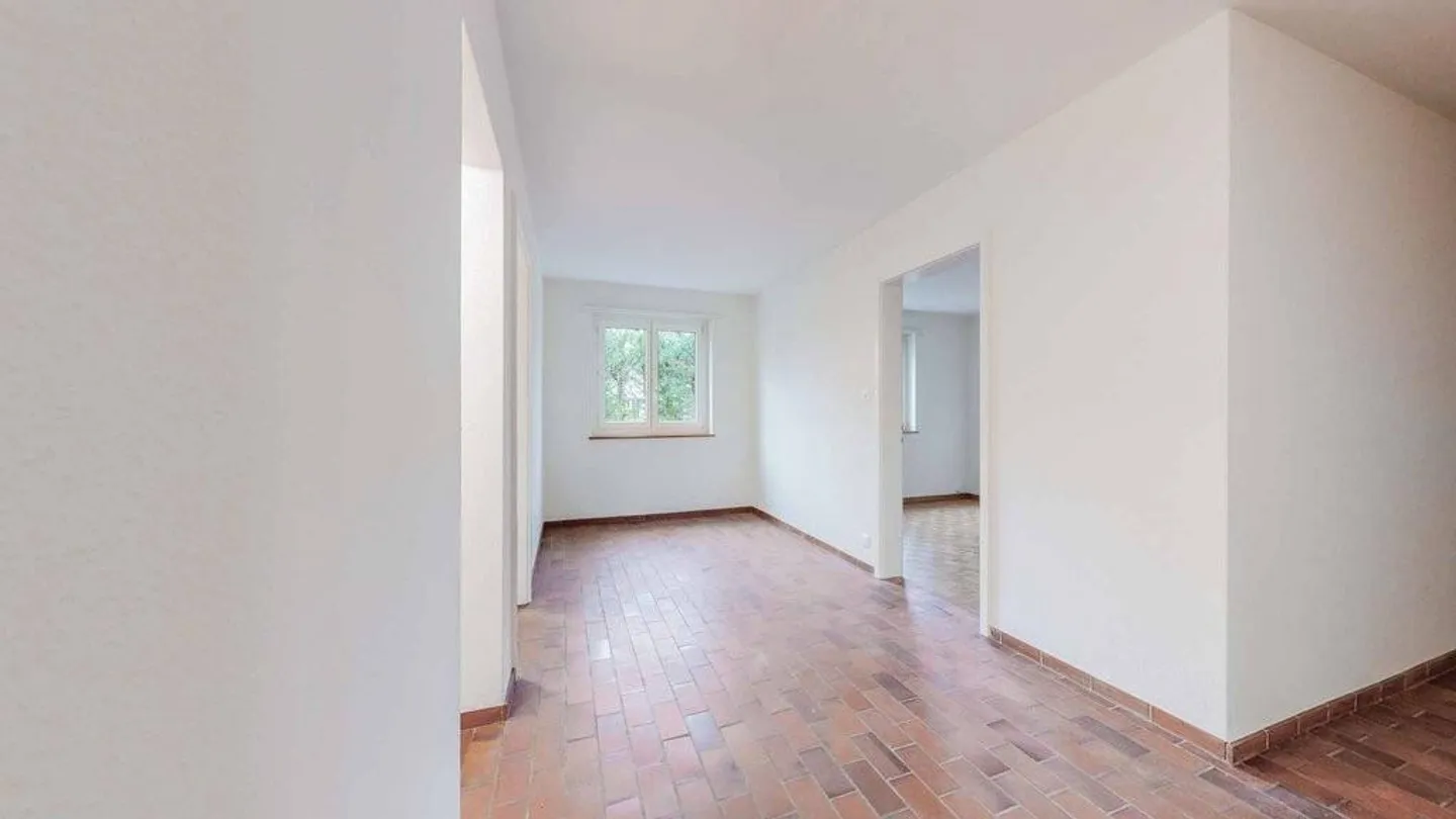 Vivere a contatto con la natura alle porte di Zurigo - Foto 5 di 9