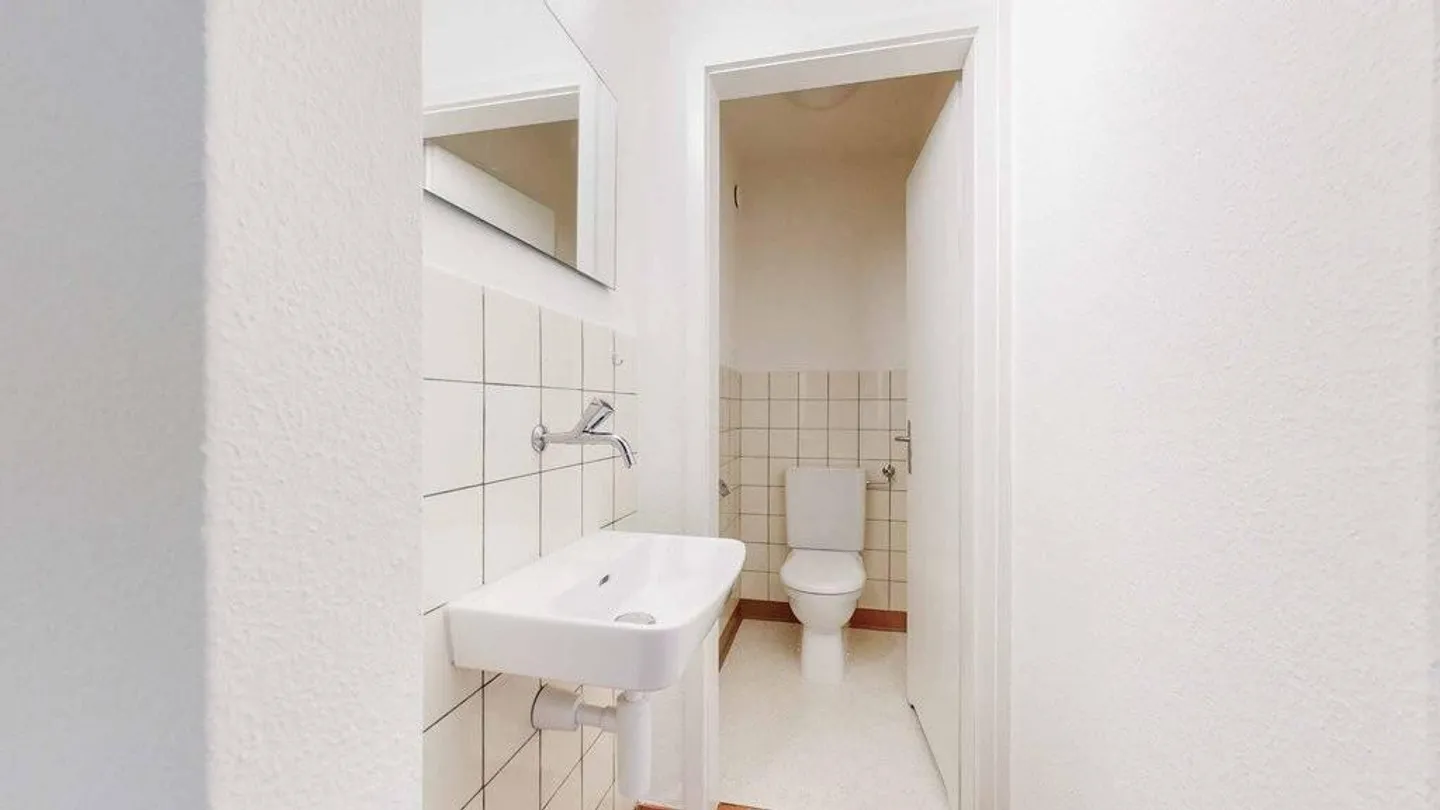 Vivere a contatto con la natura alle porte di Zurigo - Foto 7 di 9