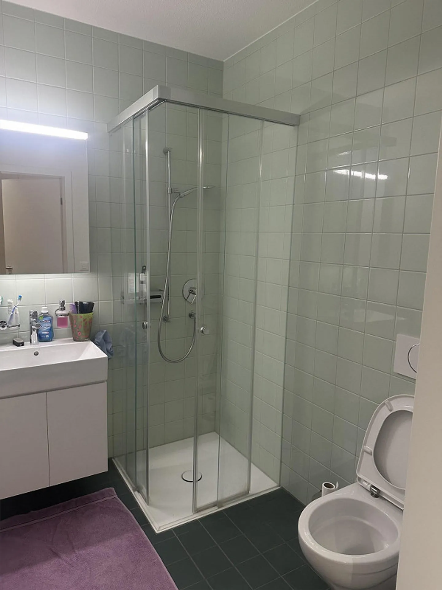 In the Heart of Hochdorf - Photo 2 of 6