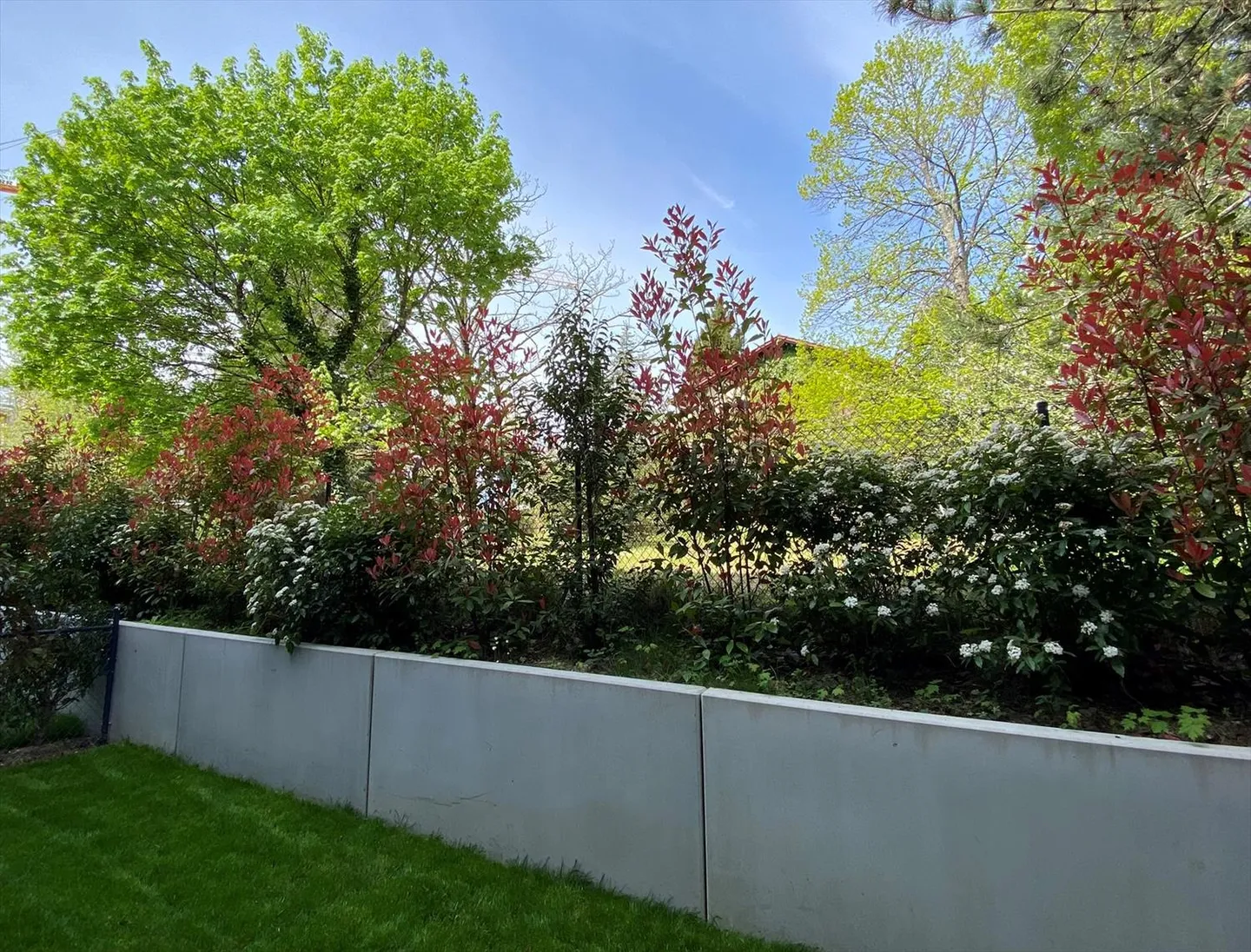 Furnished 2.5-room apartment - Photo 6 of 6