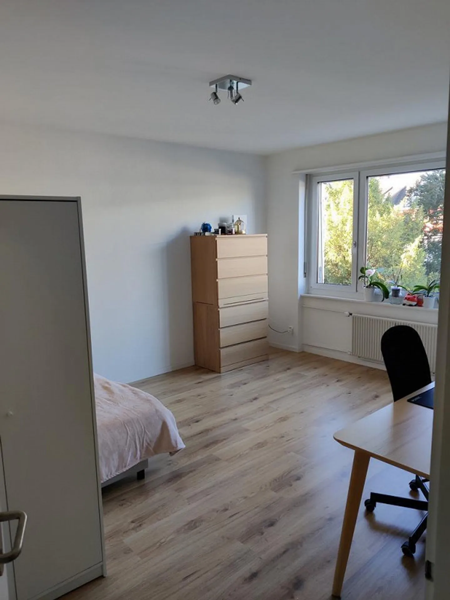 Appartamenti monolocali ristrutturati vicino al Reno - Foto 5 di 7