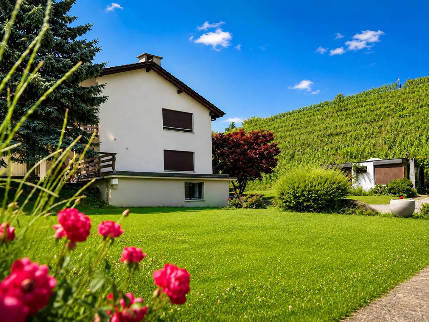 Rêve de famille à Jona avec un immense jardin directement à côté des vignobles - Photo 1 sur 17