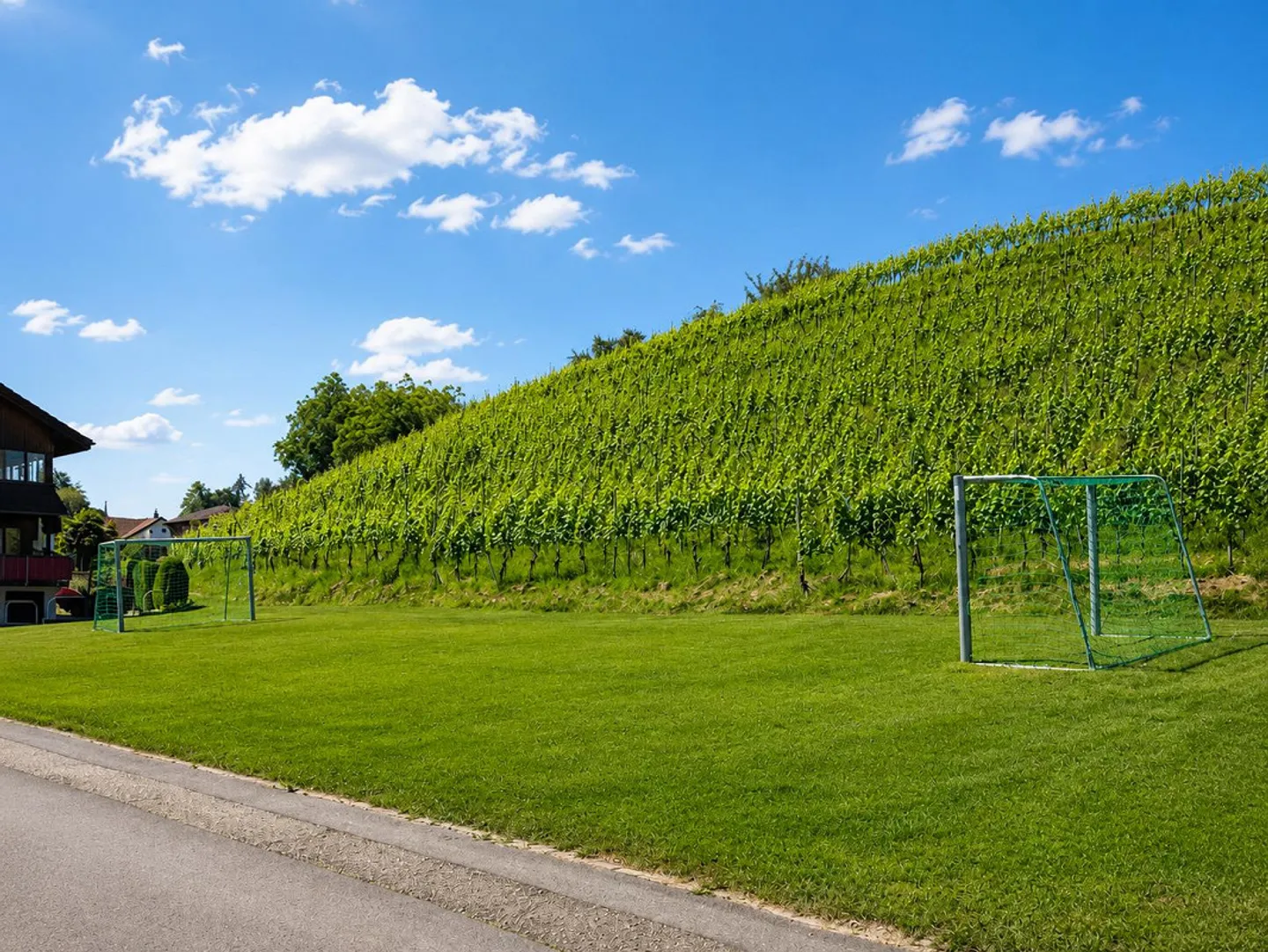 Rêve de famille à Jona avec un immense jardin directement à côté des vignobles - Photo 17 sur 17