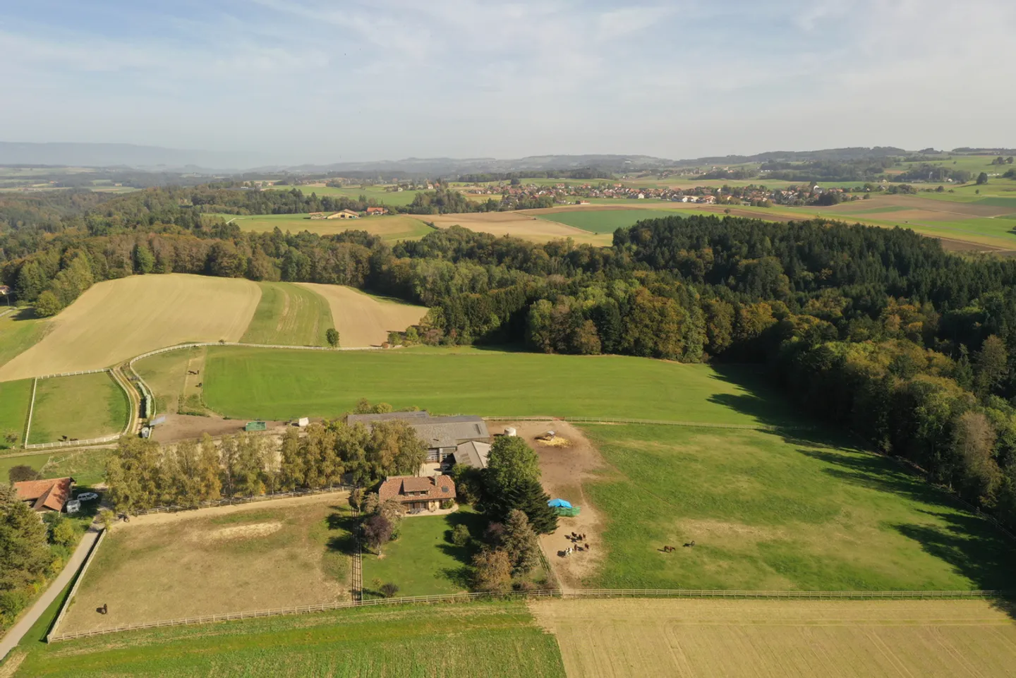Azienda equestre vicino a Losanna - Foto 7 di 7