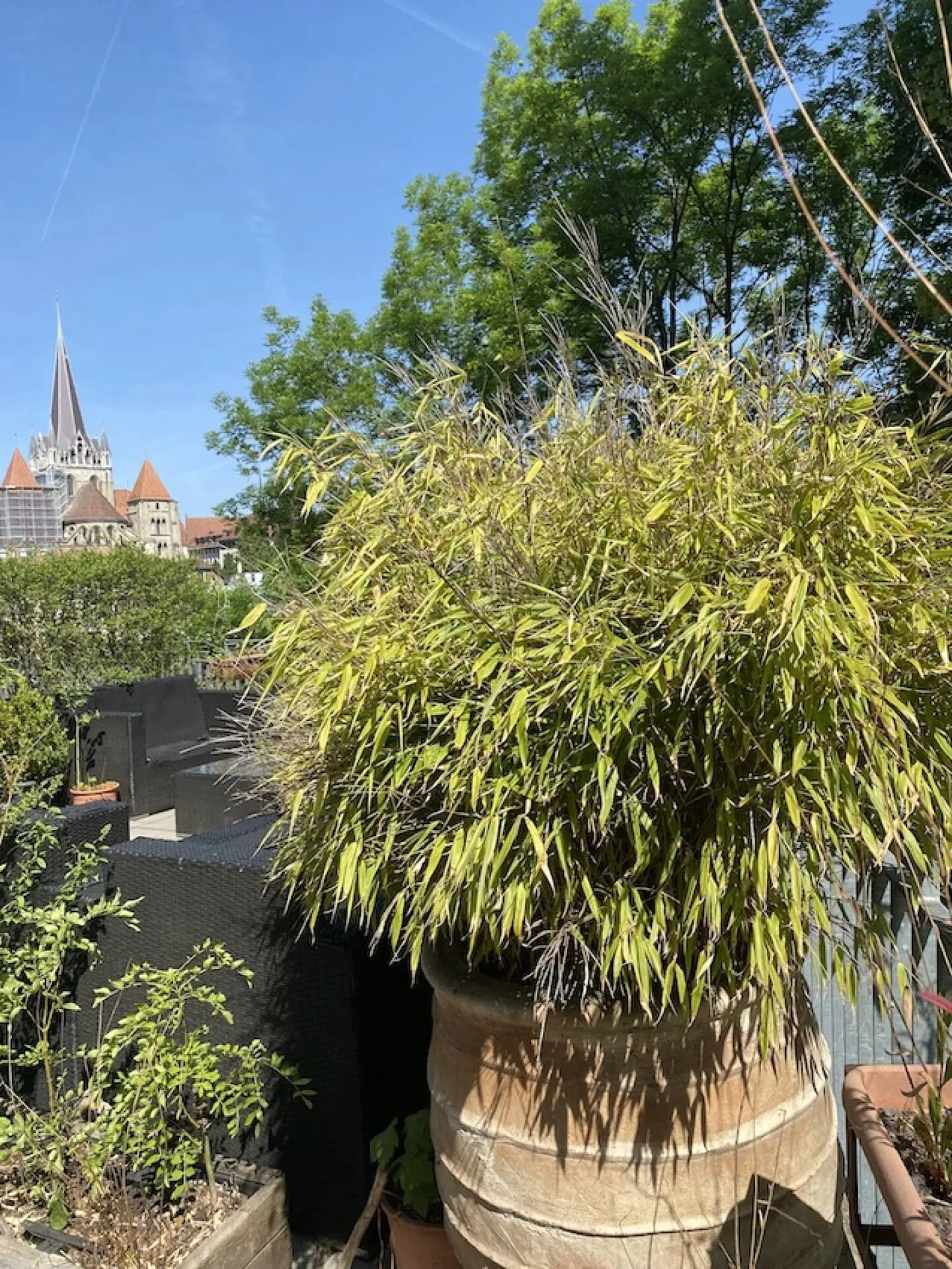 Apartment in the City Center of Lausanne - Photo 13 of 13