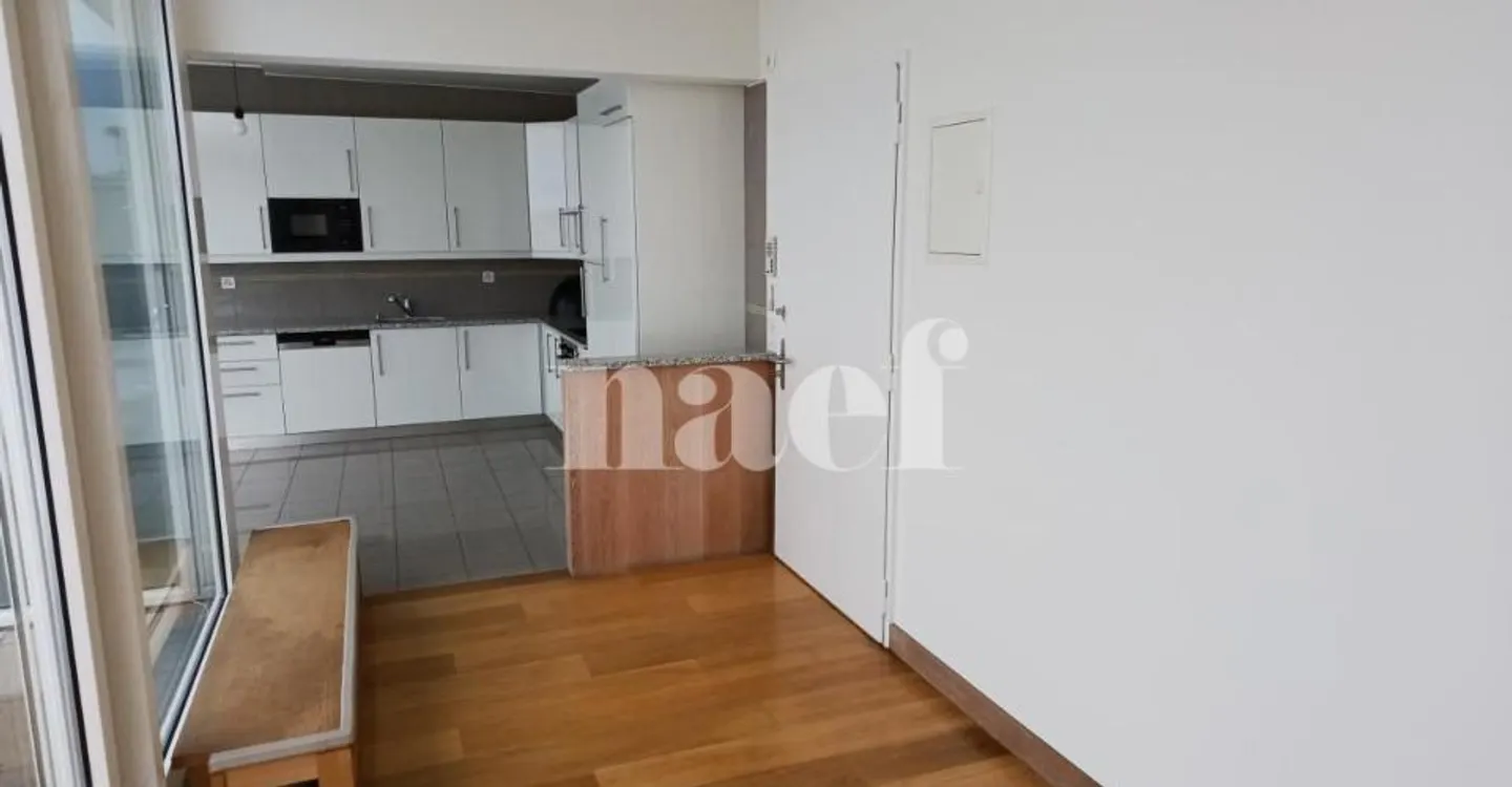 Apartment with large terrace in Champel - Photo 2 of 10