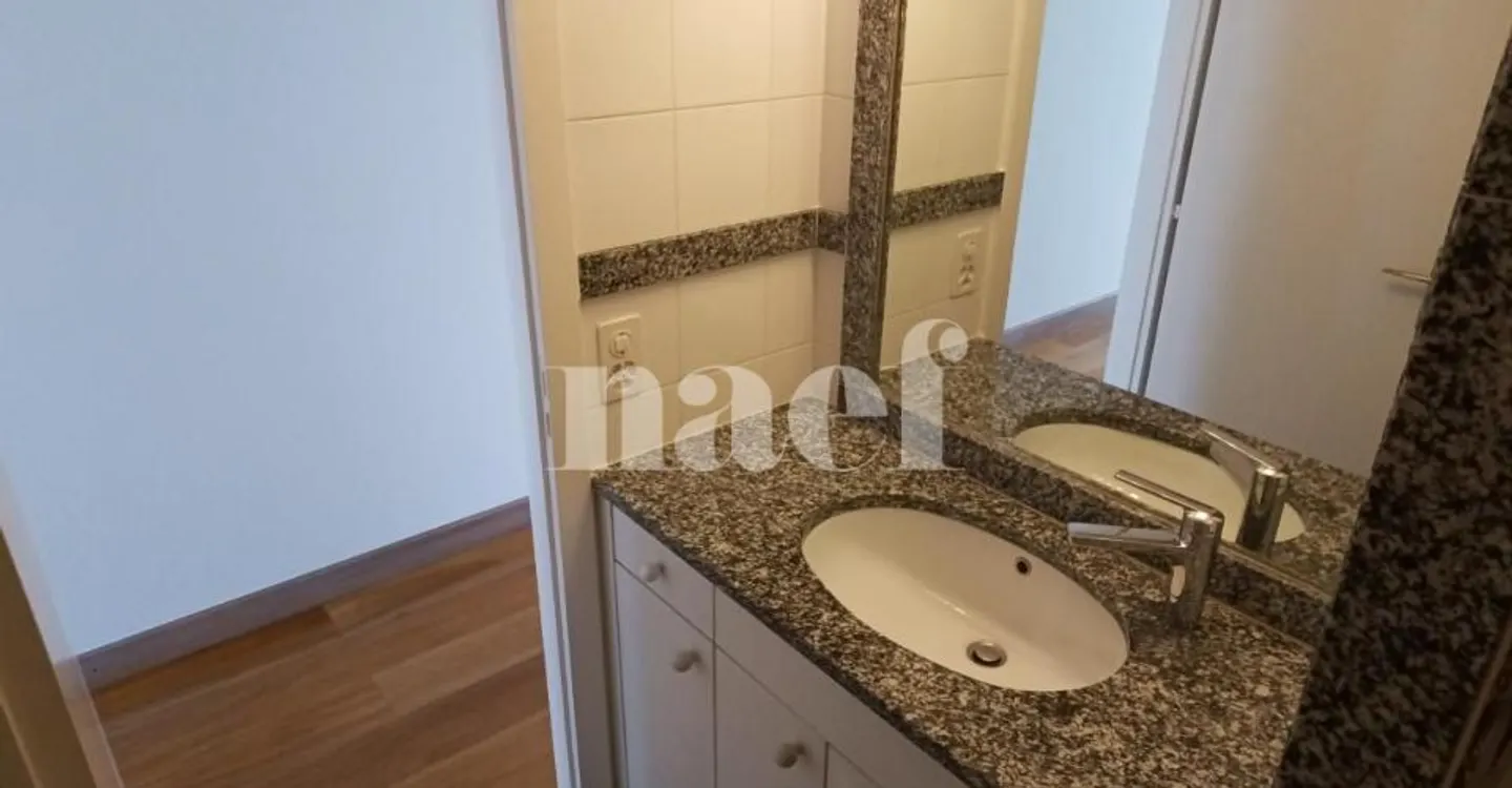 Apartment with large terrace in Champel - Photo 7 of 10