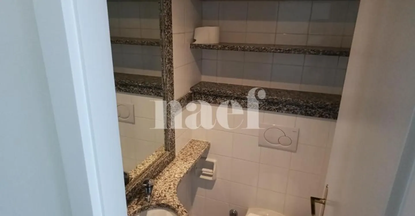 Apartment with large terrace in Champel - Photo 9 of 10
