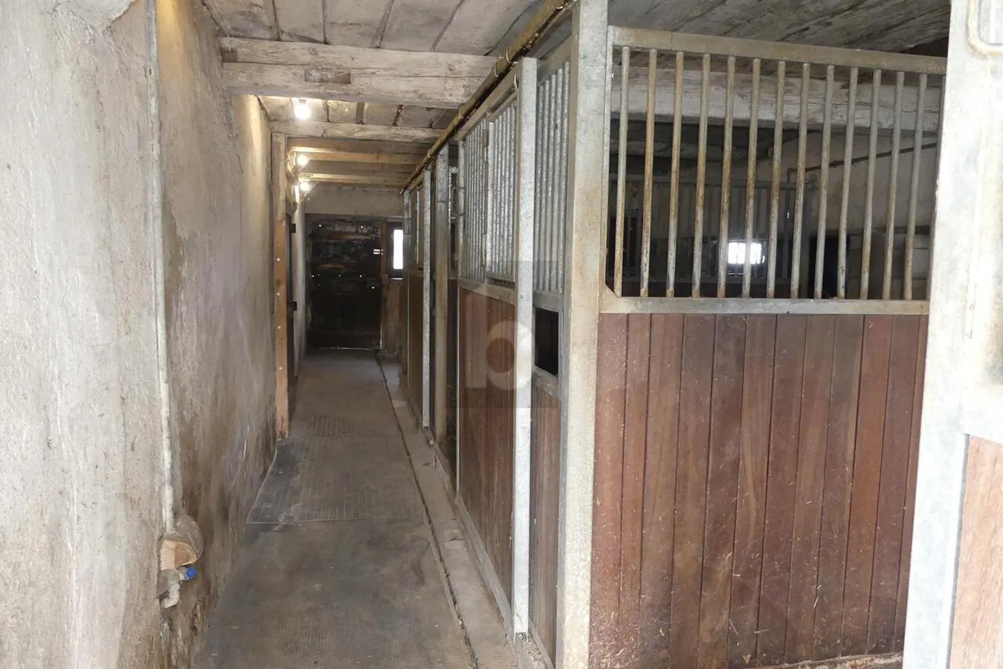 Casa di campagna (IDEALE PER GLI ANIMALI) - Foto 4 di 6