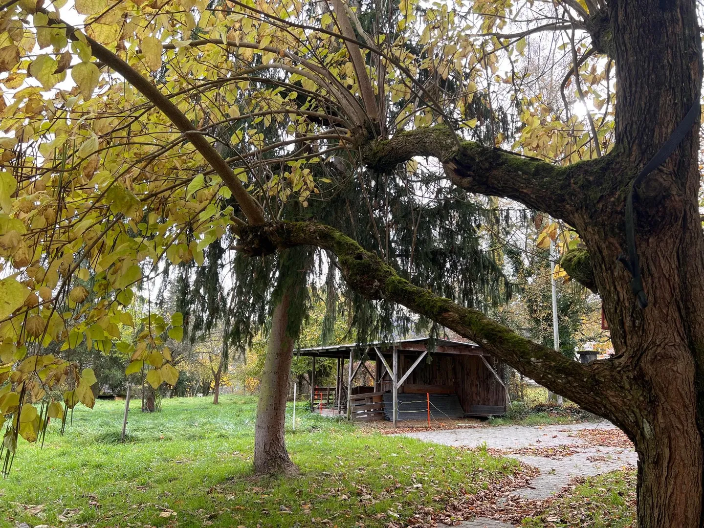 Bauland kaufen - Foto 4 von 8