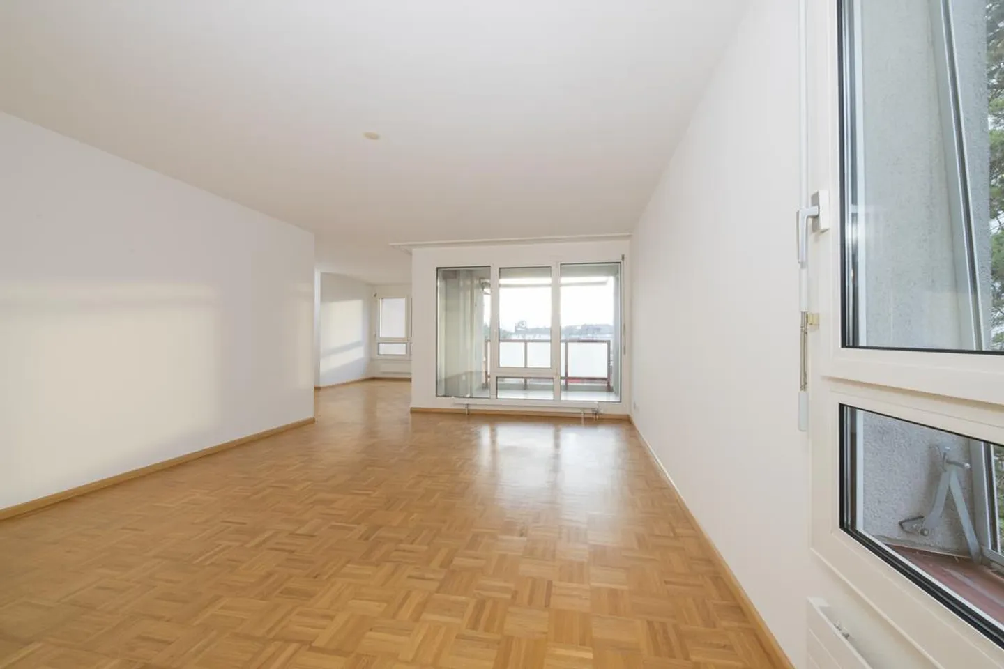 Large 5.5-room apartment near the garden city - Photo 3 of 12