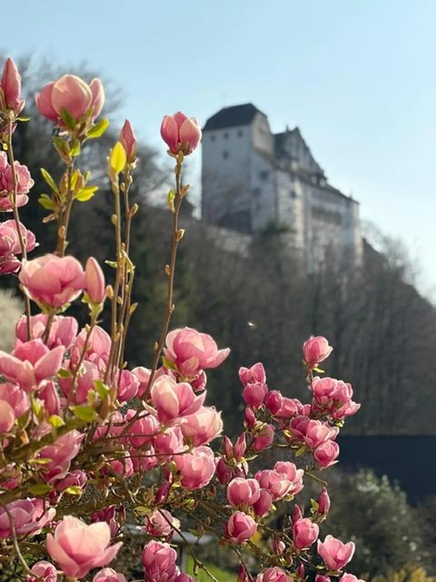 Traumhafte 6,0 Zimmer-Wohnung mit Wintergarten und grosser Terrasse - Photo 2 of 10