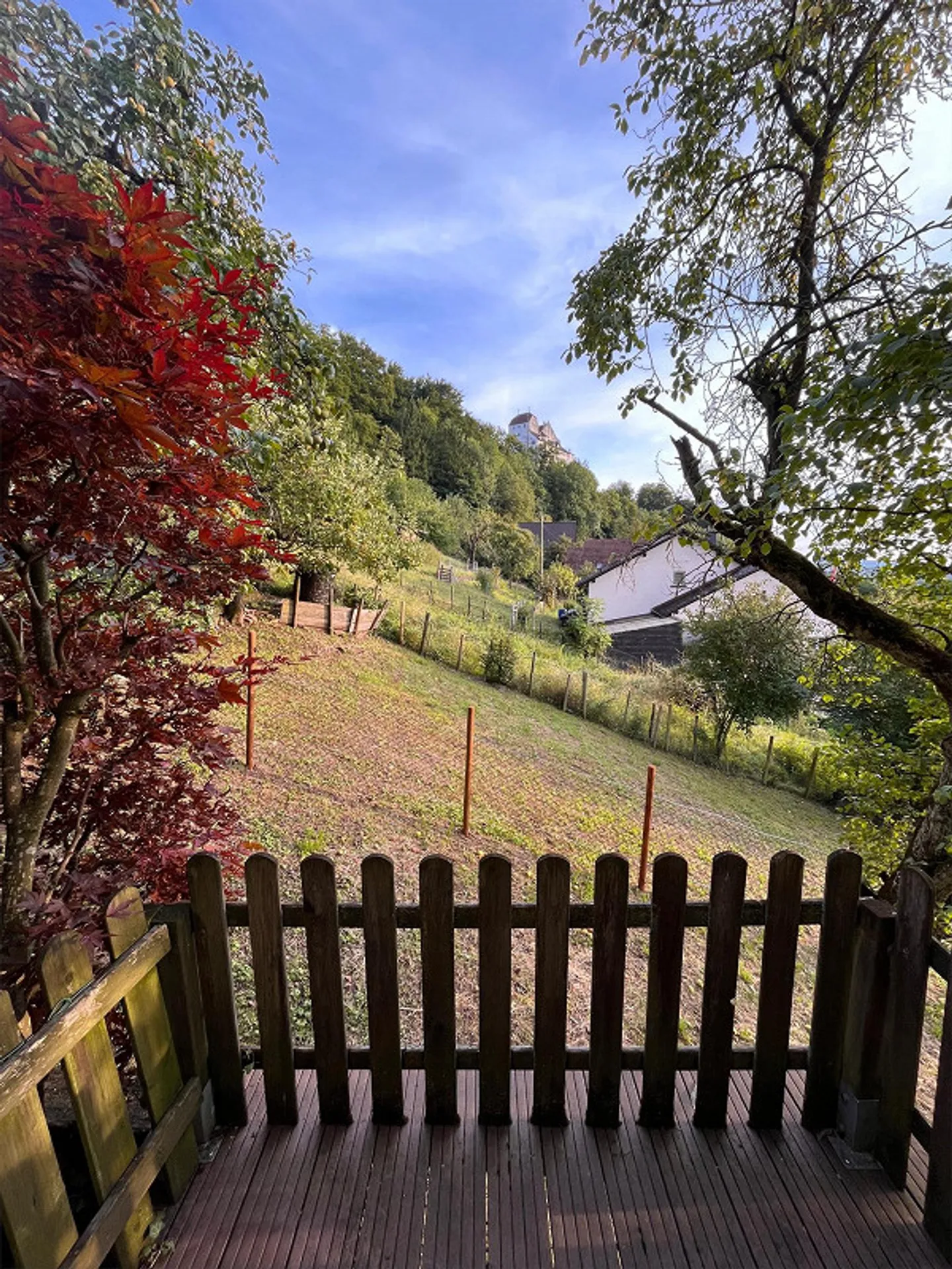 Traumhafte 6,0 Zimmer-Wohnung mit Wintergarten und grosser Terrasse - Photo 8 of 10