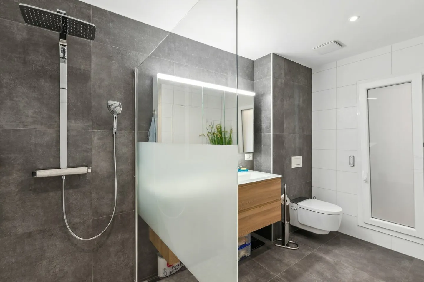 Magnificent renovated barn with 3 apartments! - Photo 4 of 6