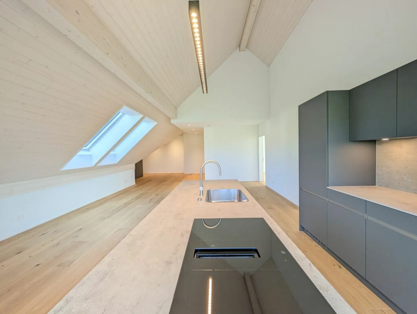 Vista non edificabile sulla zona agricola e sul Uetliberg garantita! - Foto 4 di 14