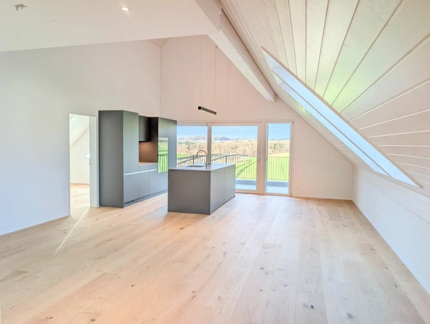 Vista non edificabile sulla zona agricola e sul Uetliberg garantita! - Foto 5 di 14