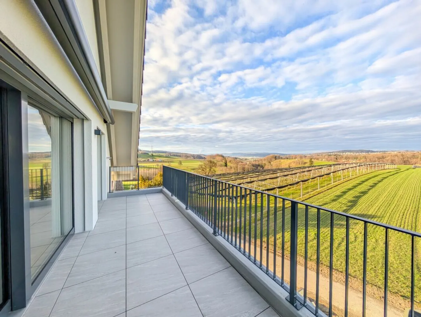 Vista non edificabile sulla zona agricola e sul Uetliberg garantita! - Foto 9 di 14