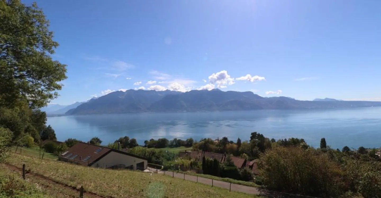 BUILDING OF 4 APARTMENTS TO RENOVATE WITH EXCEPTIONAL PANORAMIC VIEW OF LAKE LEMAN AND THE ALPS - Photo 2 of 12