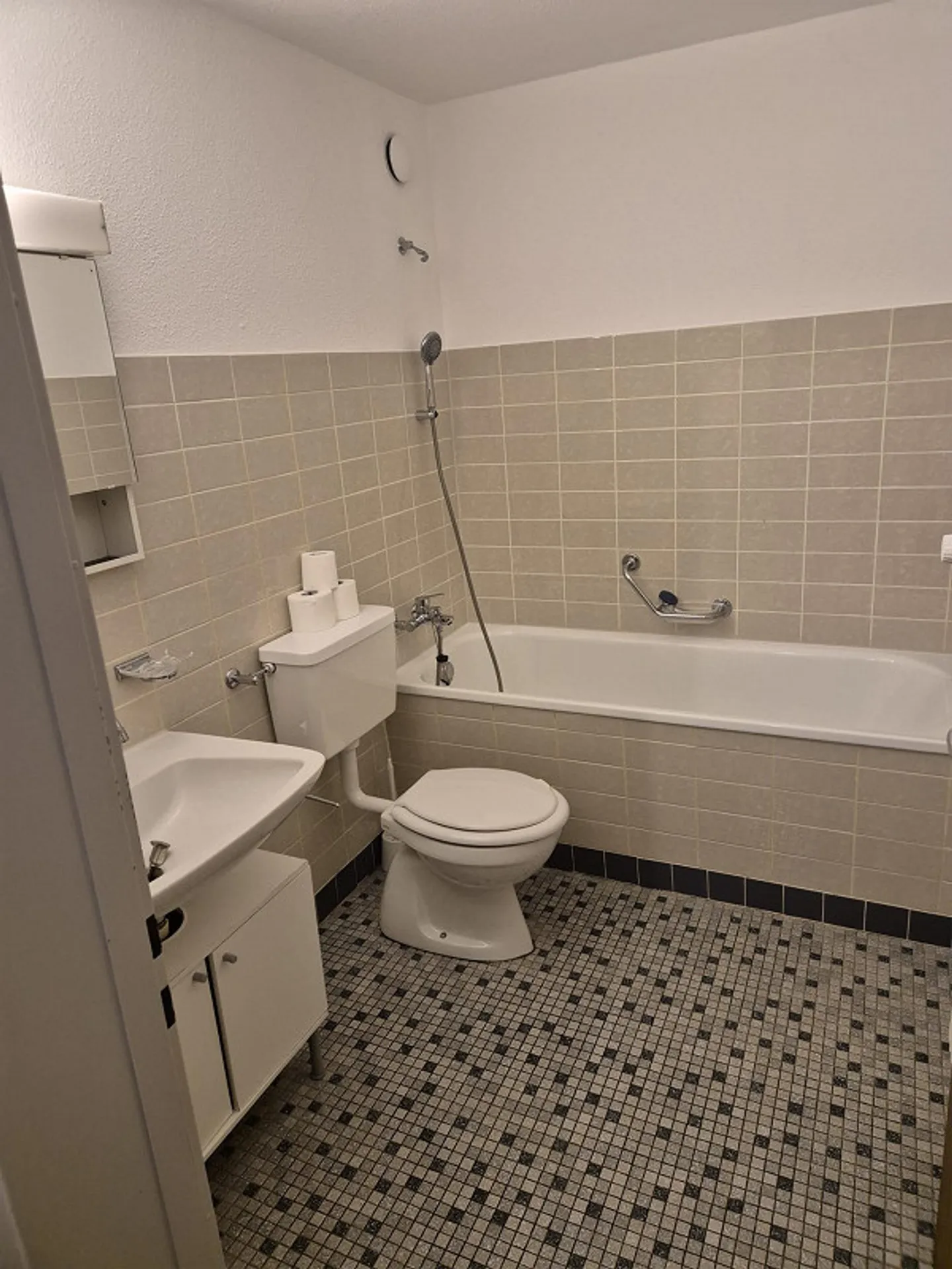 1.5 Room Apartment - Photo 3 of 4