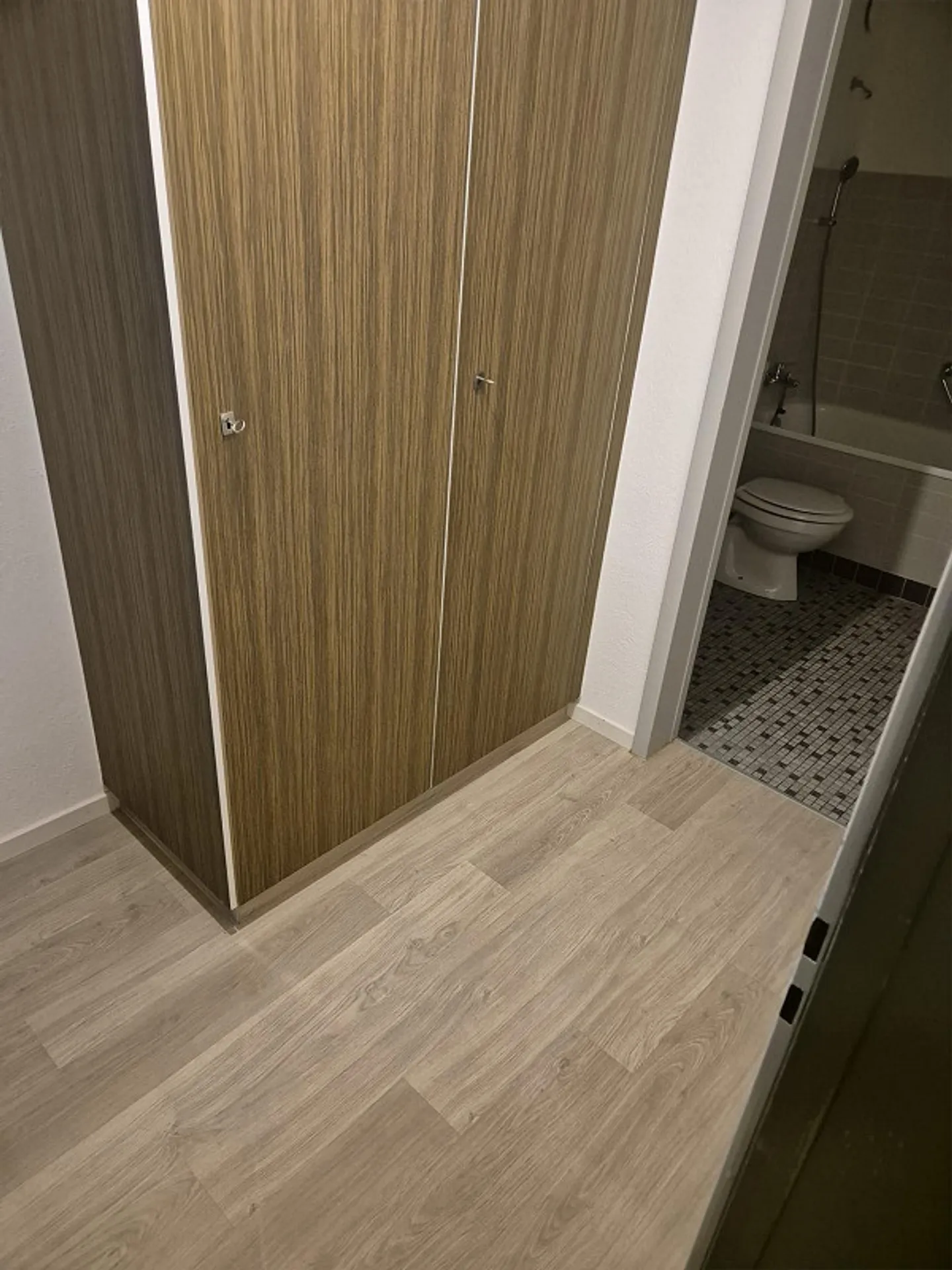 1.5 Room Apartment - Photo 4 of 4