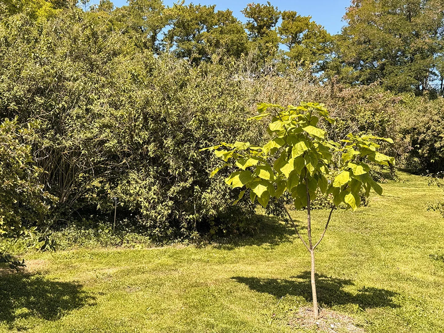 Casa 7.5 stanze - Foto 1 di 3