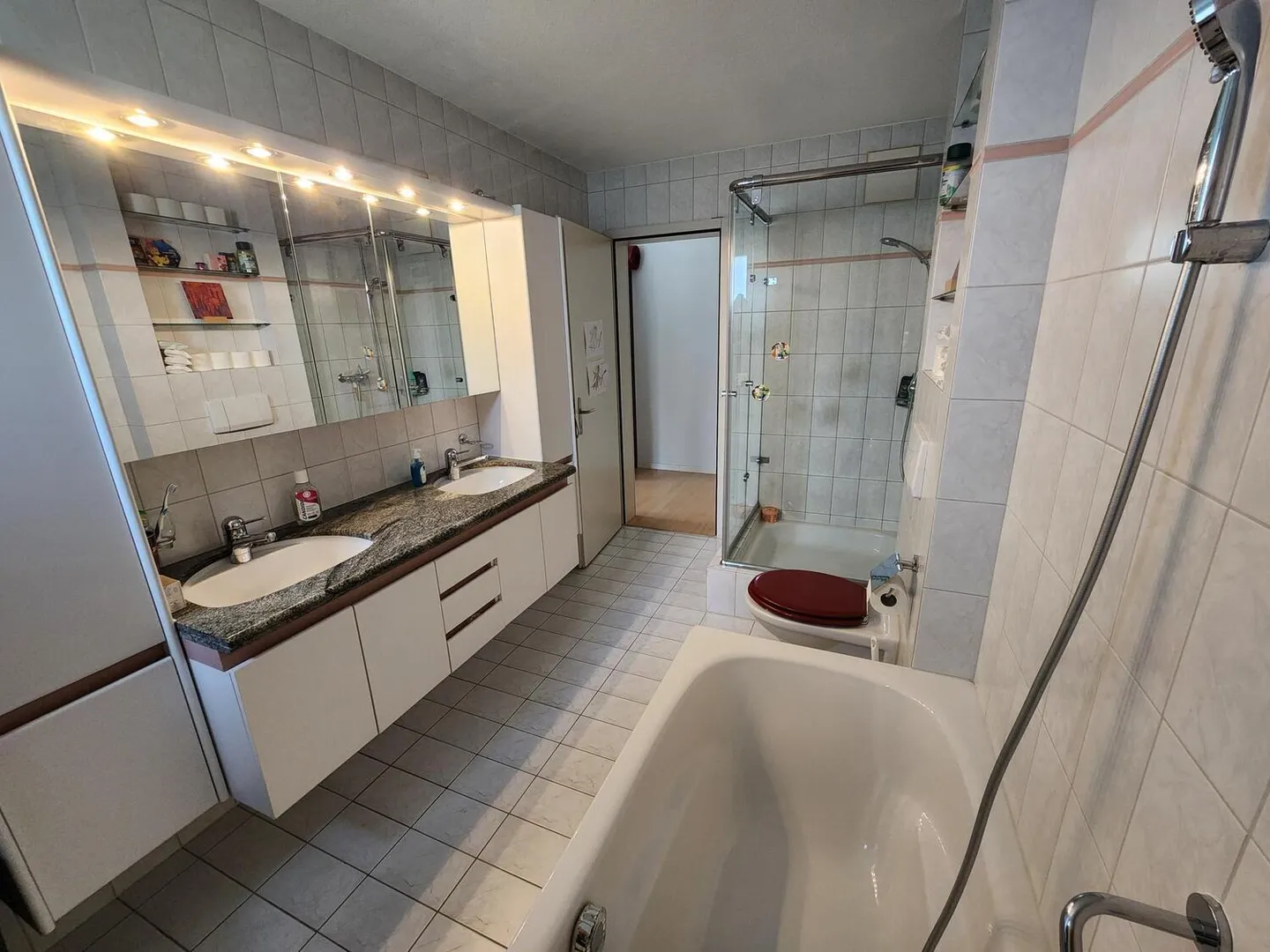 4½ ROOM APARTMENT IN KÜSSNACHT AM RIGI (SZ), FURNISHED, TEMPORARY - Photo 5 of 10