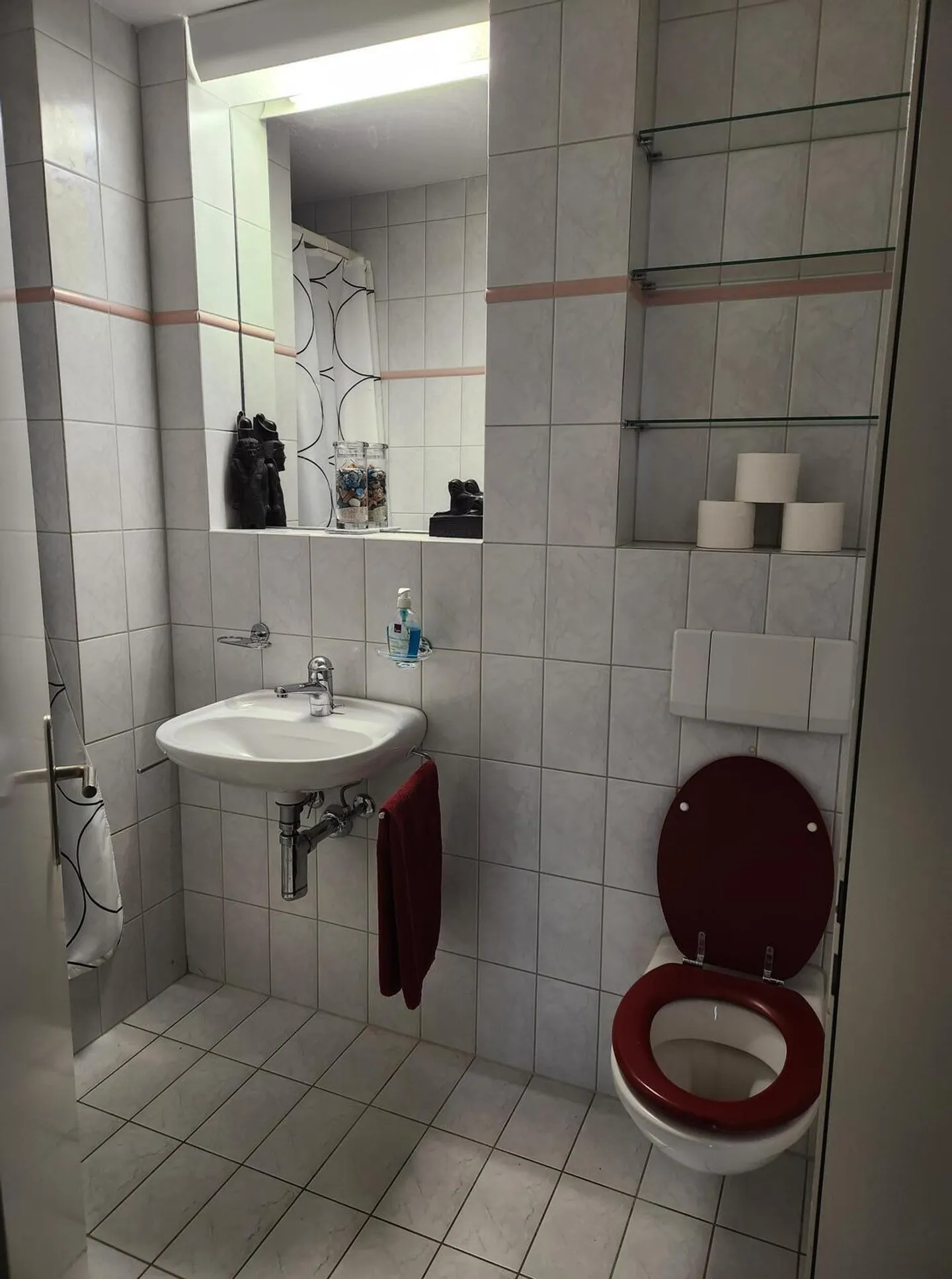 4½ ROOM APARTMENT IN KÜSSNACHT AM RIGI (SZ), FURNISHED, TEMPORARY - Photo 6 of 10