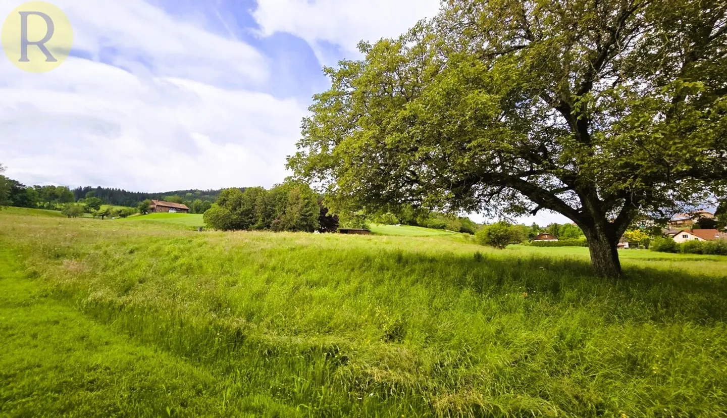 Appartamento 3,5 locali con giardino di 430 m2! - Foto 5 di 9