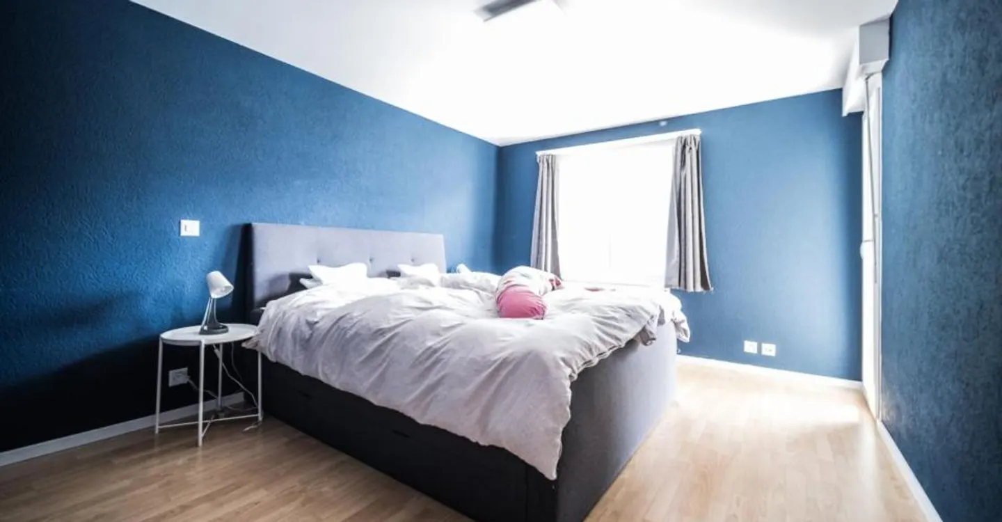 Appartamento 4.5 camere incantevole - Foto 5 di 12
