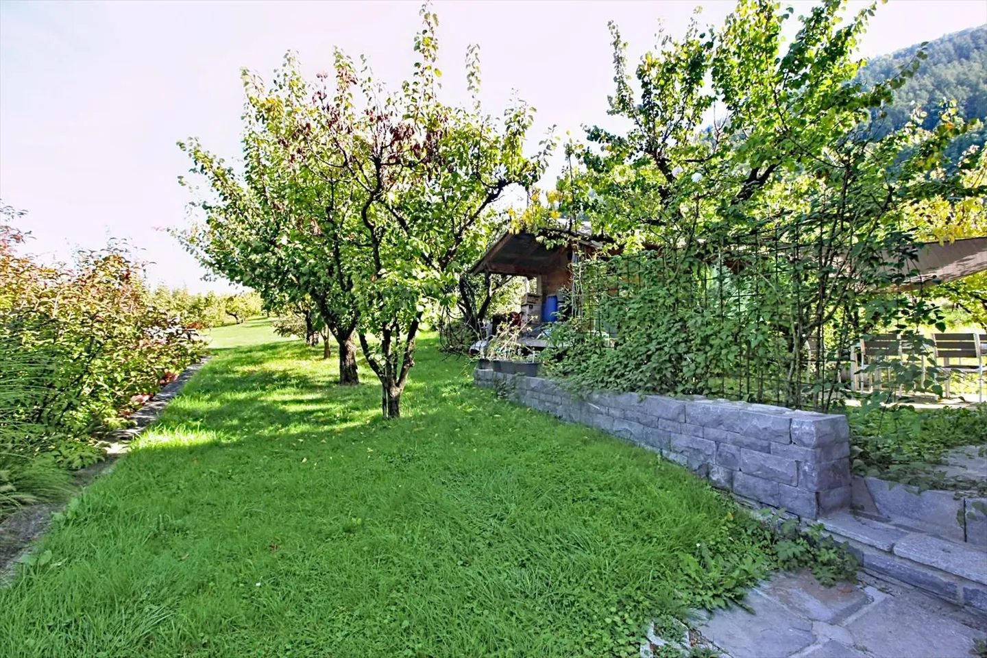 3,5-Zimmer-Haus - Foto 12 von 13