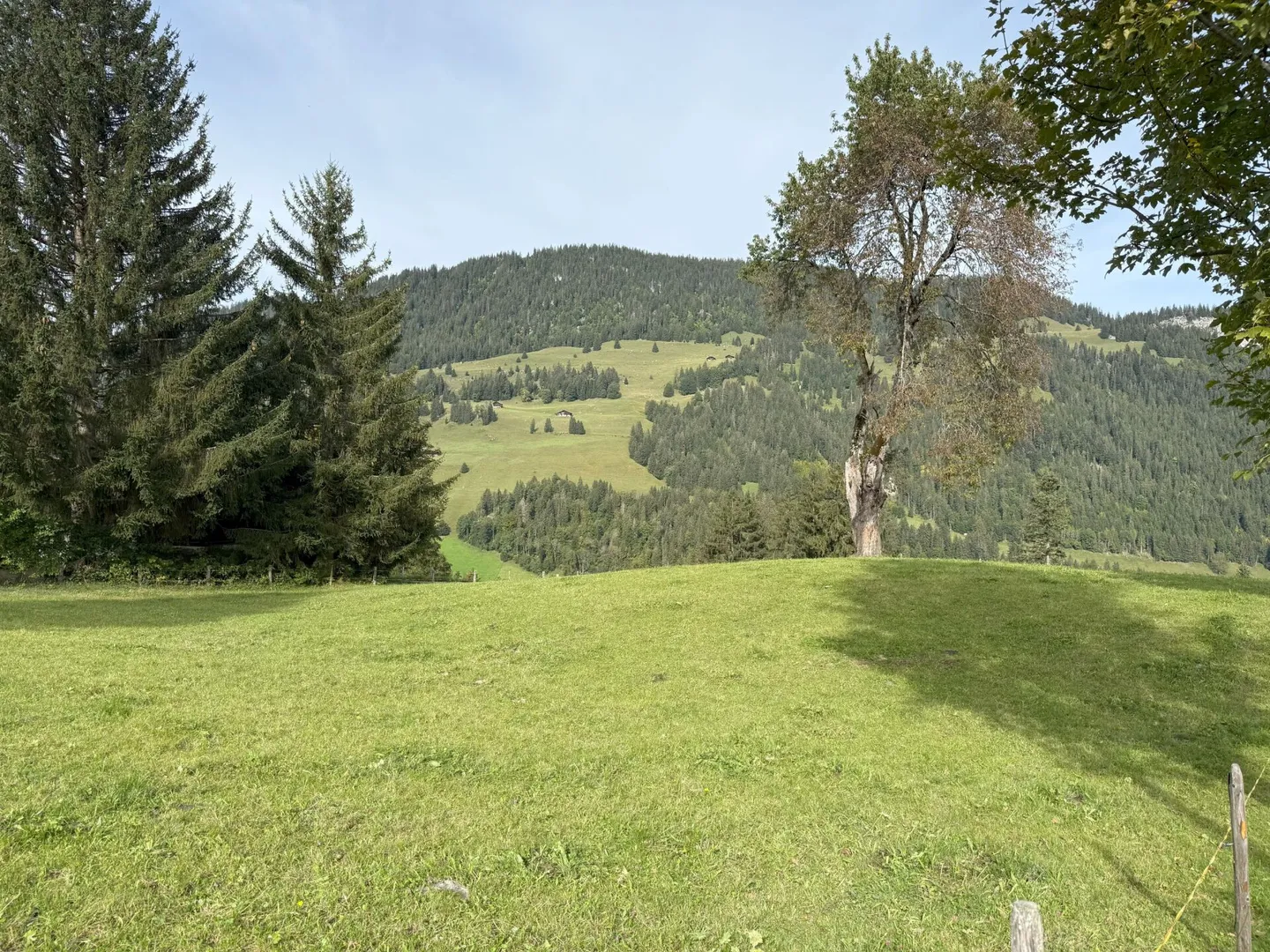 Terreno edificabile al Rinderberg a Zweisimmen per CHF 525.00 al m2 - Foto 1 di 5