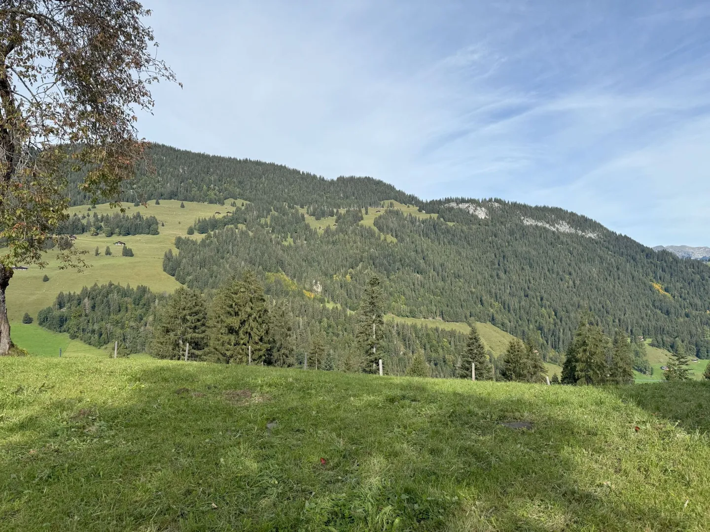 Terreno edificabile al Rinderberg a Zweisimmen per CHF 525.00 al m2 - Foto 2 di 5