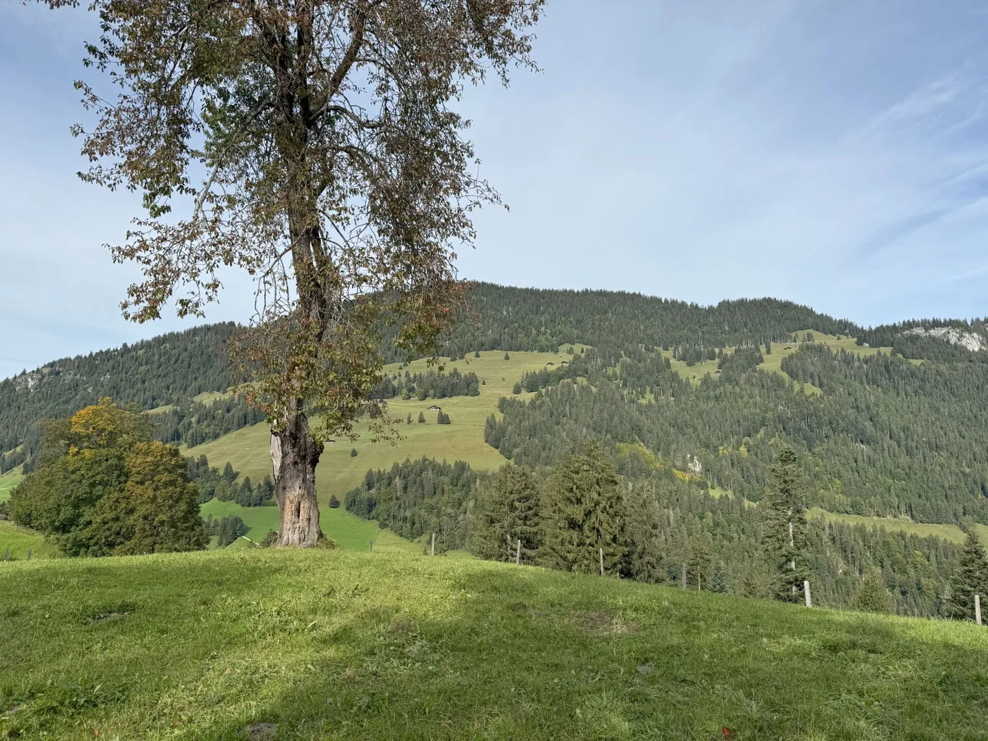 Terreno edificabile al Rinderberg a Zweisimmen per CHF 525.00 al m2 - Foto 3 di 5
