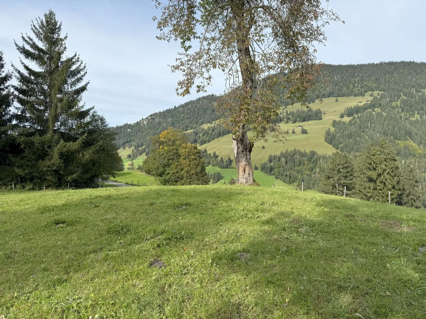 Terreno edificabile al Rinderberg a Zweisimmen per CHF 525.00 al m2 - Foto 4 di 5