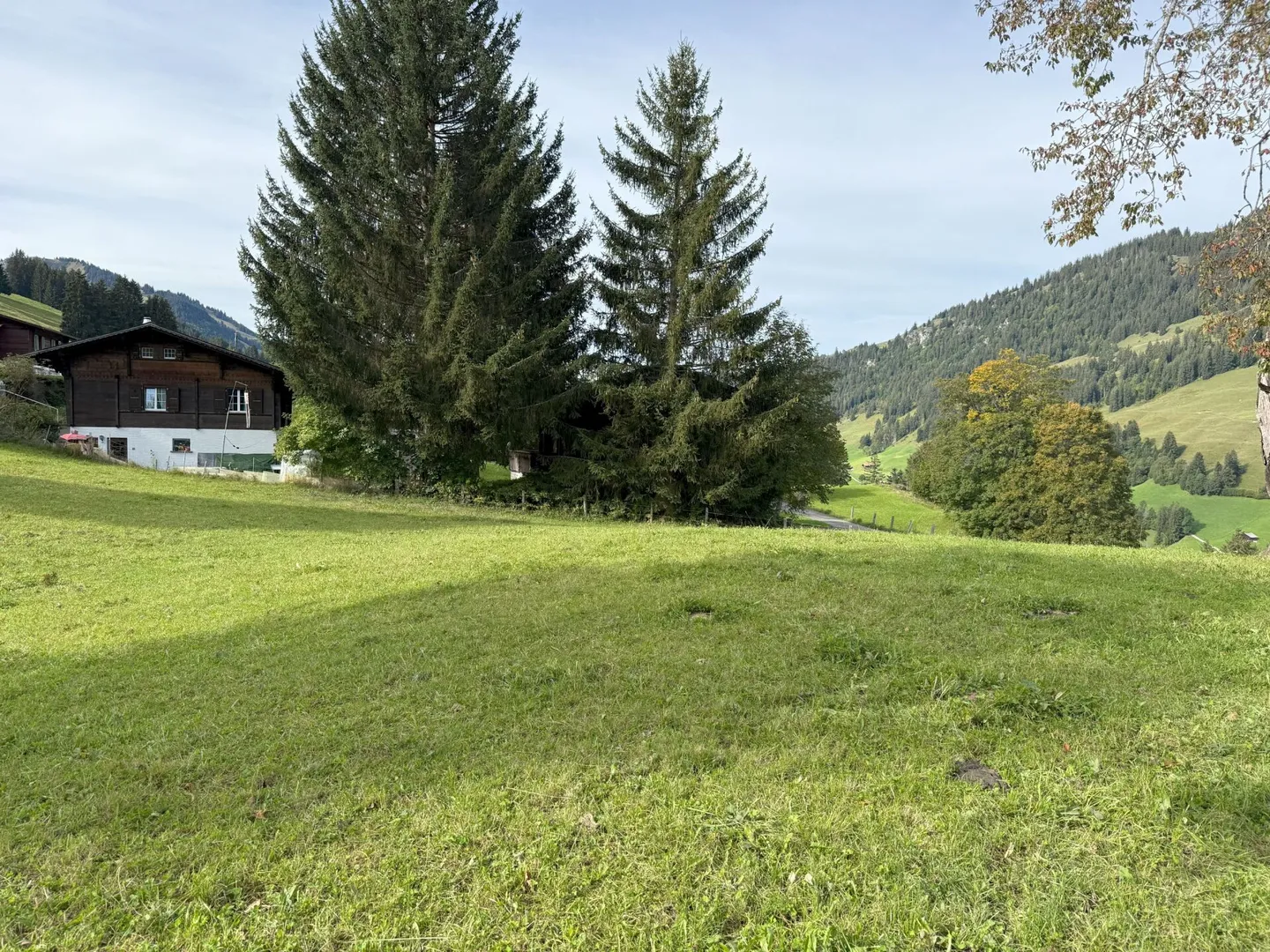 Terreno edificabile al Rinderberg a Zweisimmen per CHF 525.00 al m2 - Foto 5 di 5